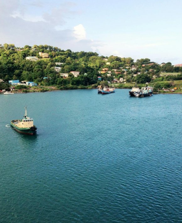 st lucia citizenship by investment requirements