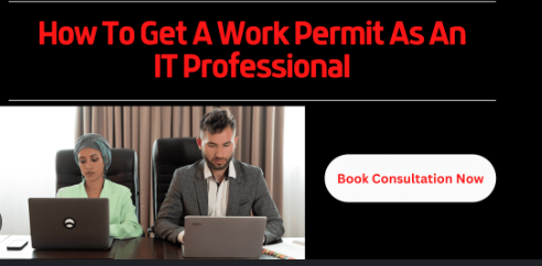 How to Secure a Work Permit as an IT Professional 1 How to Secure a Work Permit as an IT Professional