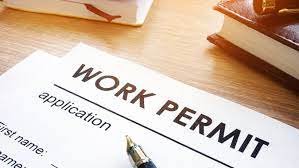 How to Secure a Work Permit as an IT Professional 2 How to Secure a Work Permit as an IT Professional